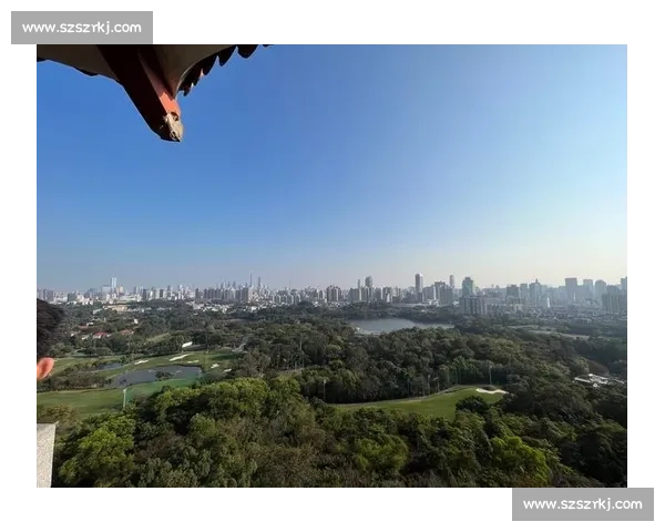 广州南昌城市实力正面较量经济文化与未来发展全景观察走向分析解读